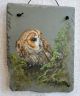 Tawny Owl by Rose Timney.jpg